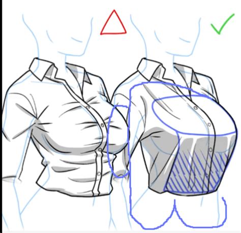 boob drawing|How To Draw Breasts Easily